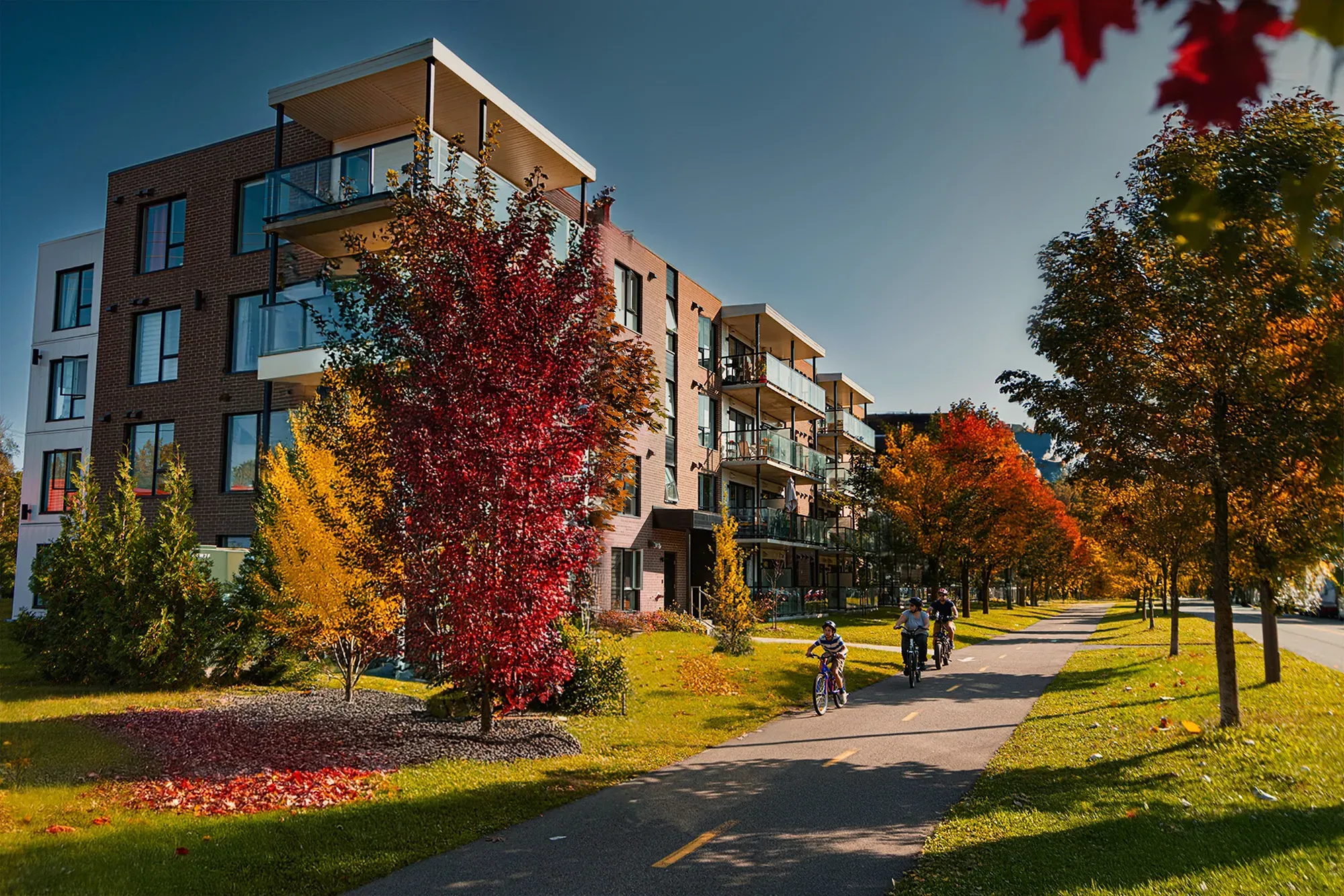 Vivaxcès Quartier Maizerets